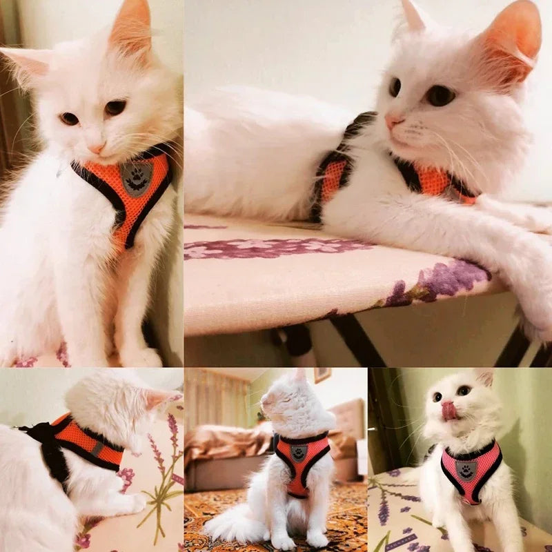 Cat Harness Vest Walking Lead Leash for Puppy Dogs Collar