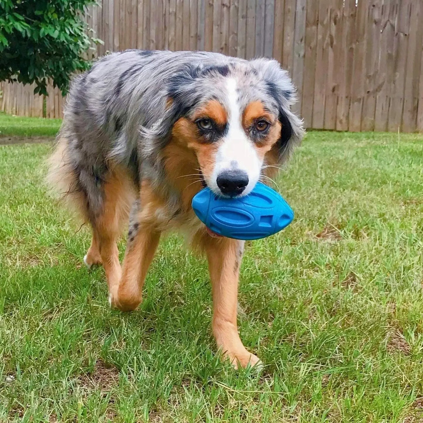 Rugby Resistance Rubber Chew Molar Interactive Training Game Pet Puppy Ball