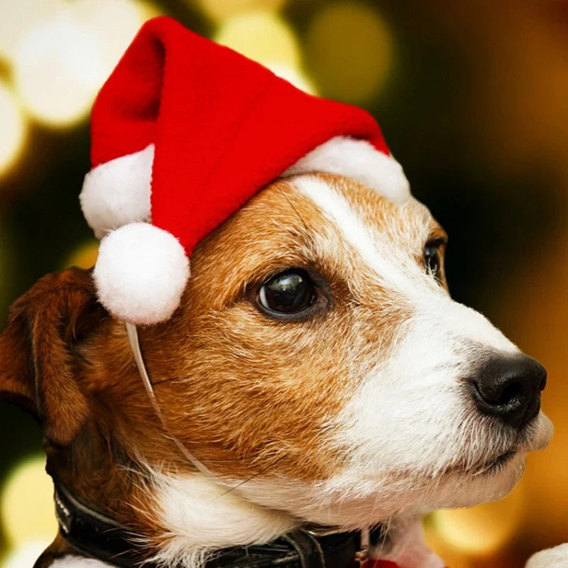 Funny Cute Red Christmas Hat Headwear for Pets, Suitable for Cats Dogs