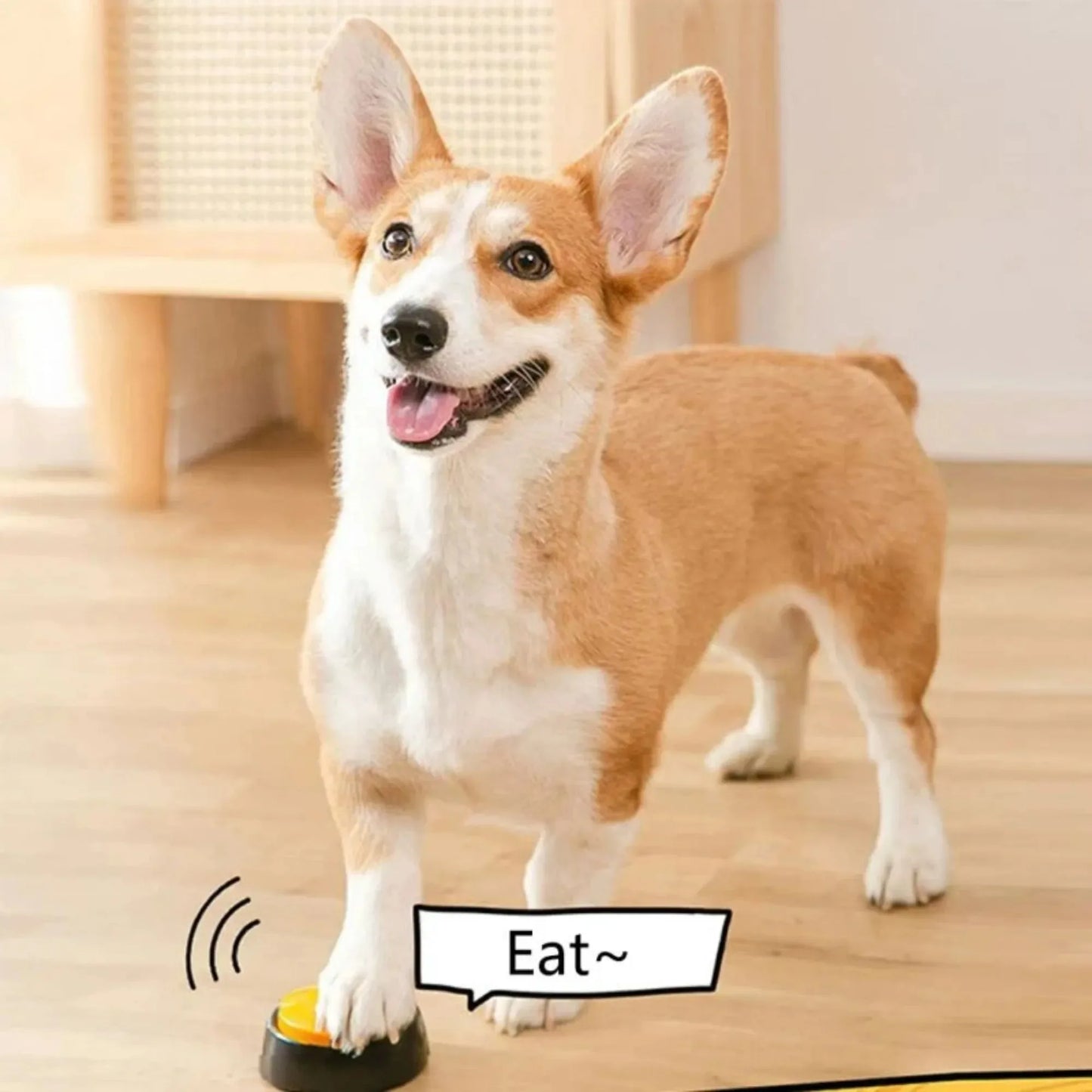 Pets Communication Buttons Voice Recording Button Training Buzzer 30 Second Record Playback Funny Gift