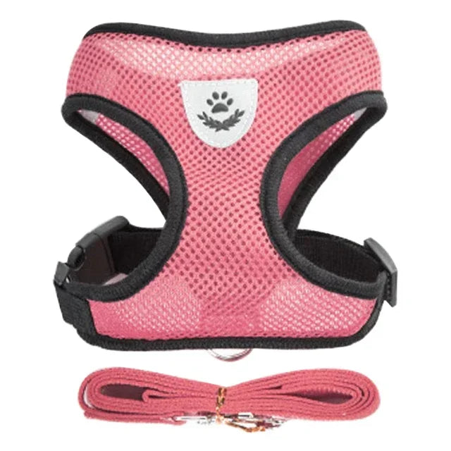 Cat Harness Vest Walking Lead Leash for Puppy Dogs Collar